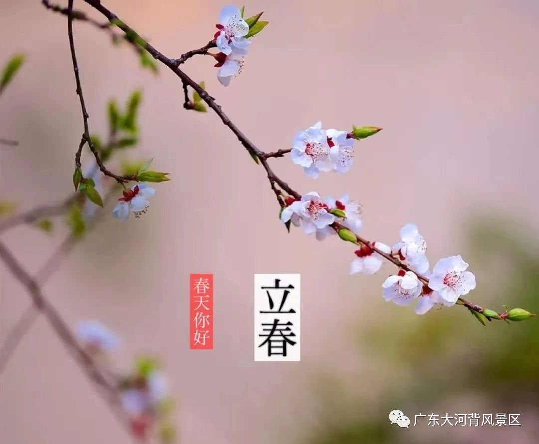 立春 I 春光不負(fù)你，詩(shī)意盎然